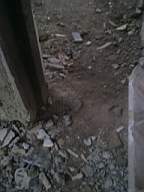 Oldbuilders2 1592.jpg